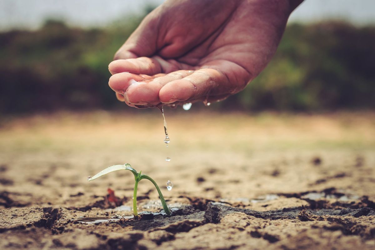 Wessex Water Announces Regional Hosepipe Ban