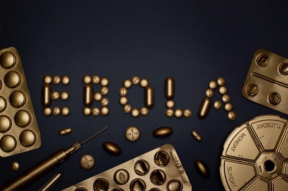 Congo Ebola Outbreak: Largest Rare Strain